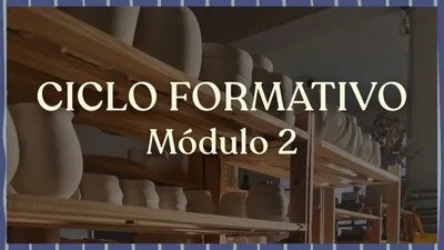 Ciclo Formativo, módulo 2